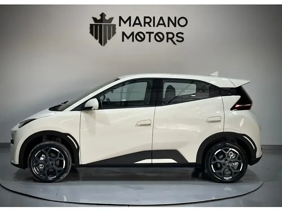 BYD Dolphin Mini - Imagem 15