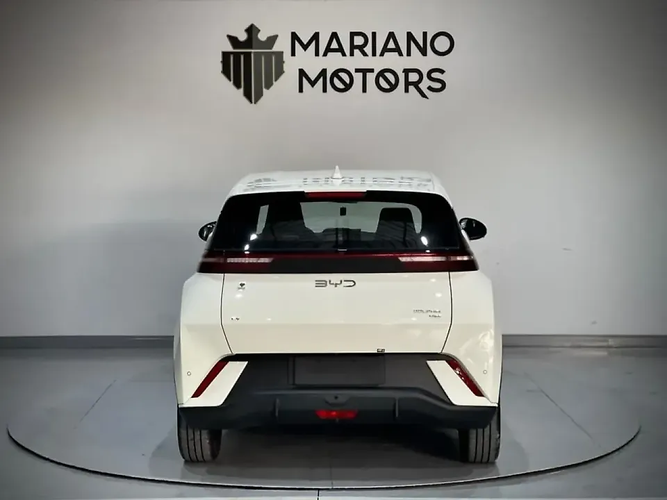 BYD Dolphin Mini - Imagem 14