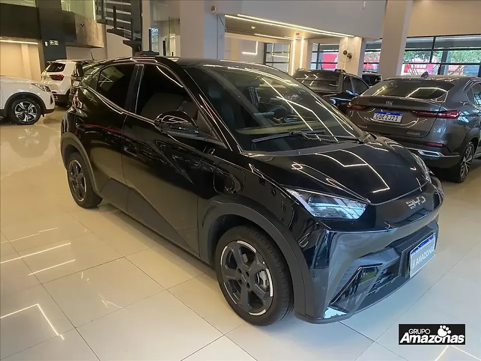 BYD Dolphin Mini - Imagem 2