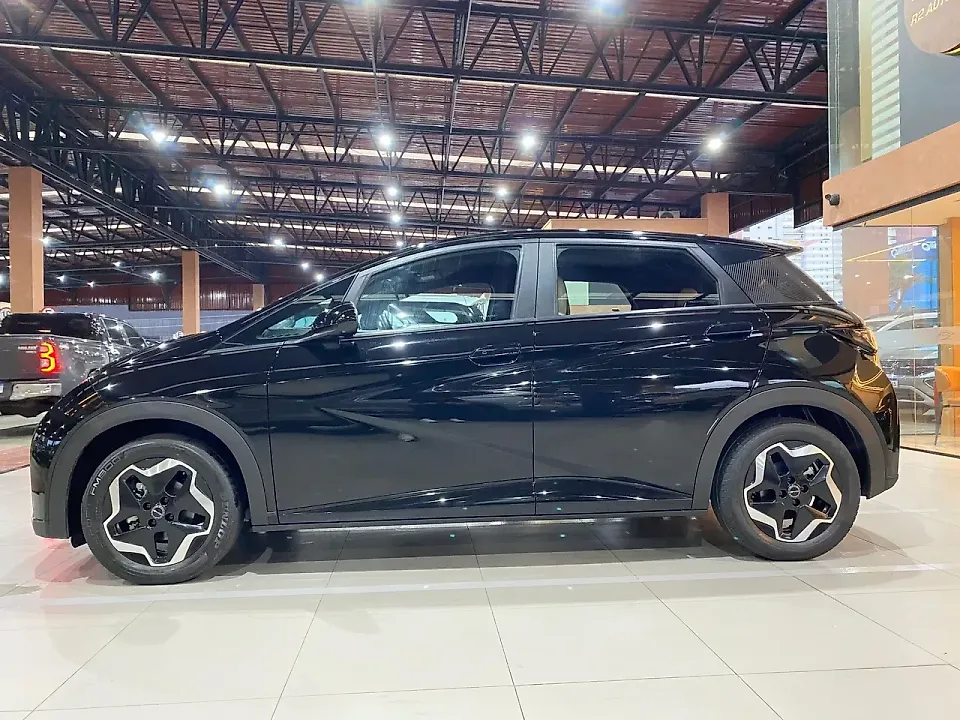 BYD Dolphin - Imagem 13