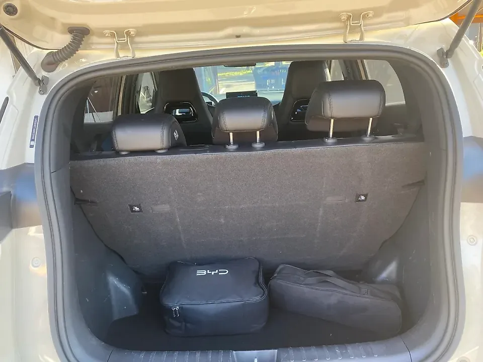 BYD Dolphin Mini - Imagem 15