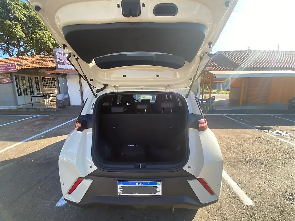 BYD Dolphin Mini - Imagem 14