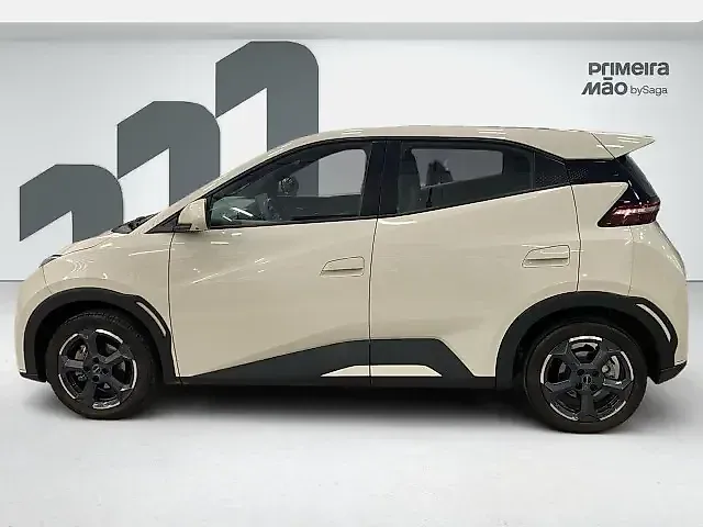 BYD Dolphin Mini - Imagem 6
