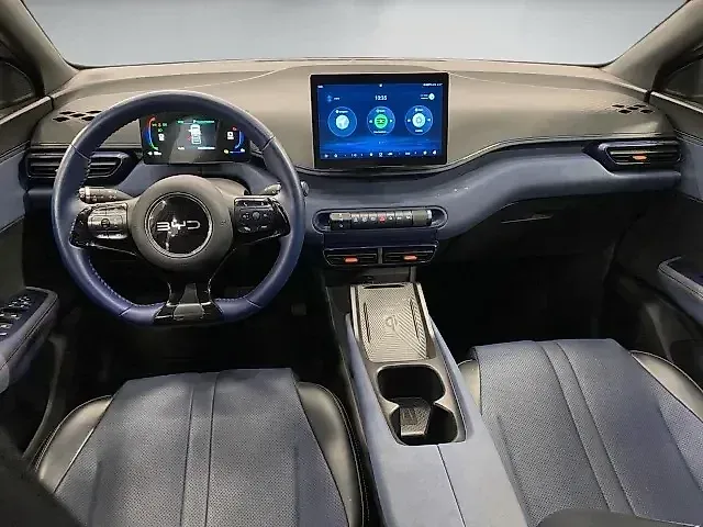 BYD Dolphin Mini - Imagem 13