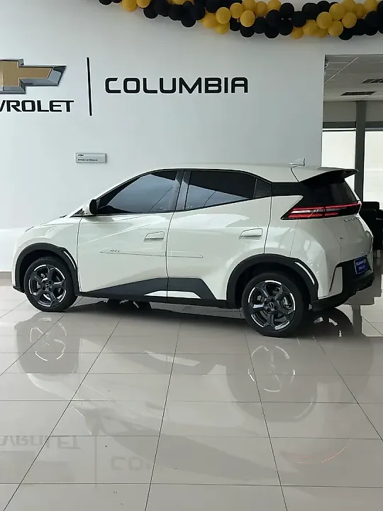 BYD Dolphin Mini - Imagem 2