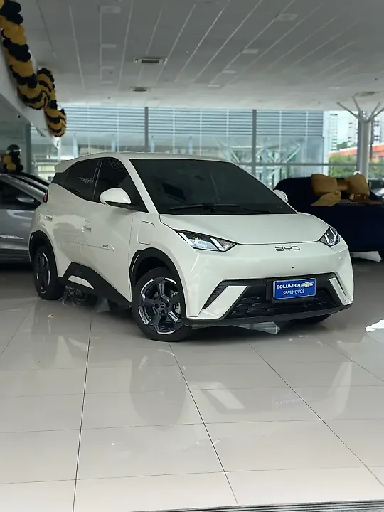 BYD Dolphin Mini - Imagem 4
