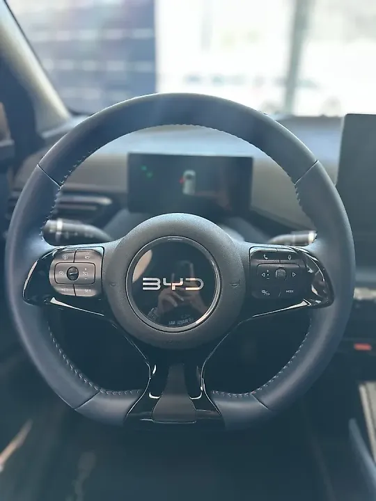 BYD Dolphin Mini - Imagem 10