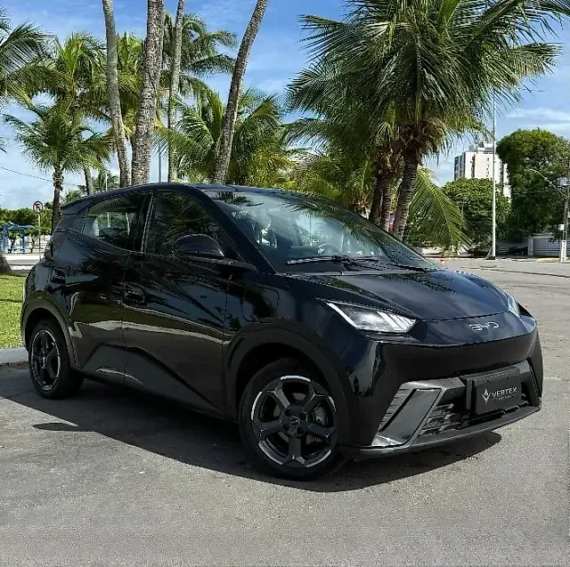 BYD Dolphin Mini - Imagem 1