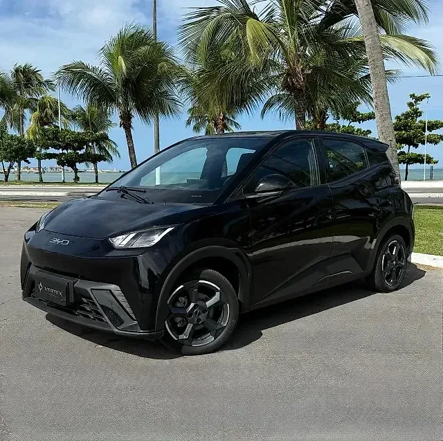 BYD Dolphin Mini - Imagem 2