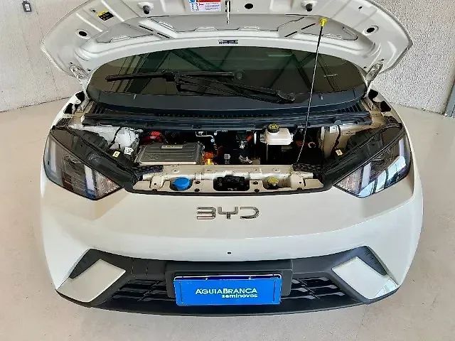 BYD Dolphin Mini - Imagem 10