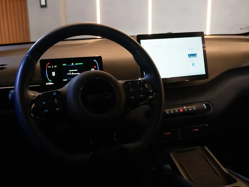BYD Dolphin Mini - Imagem 10