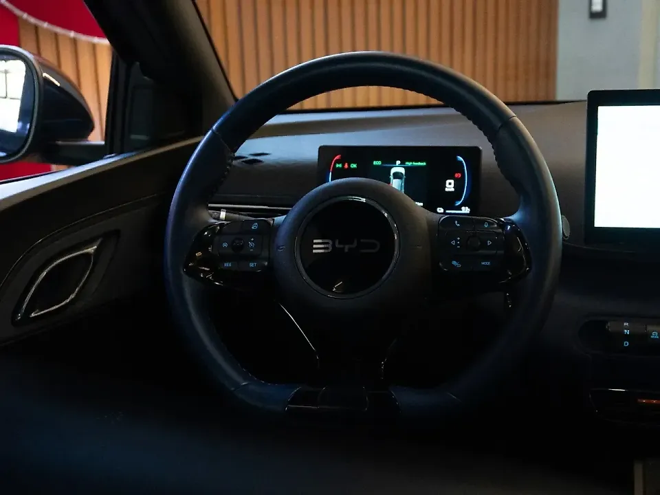 BYD Dolphin Mini - Imagem 11