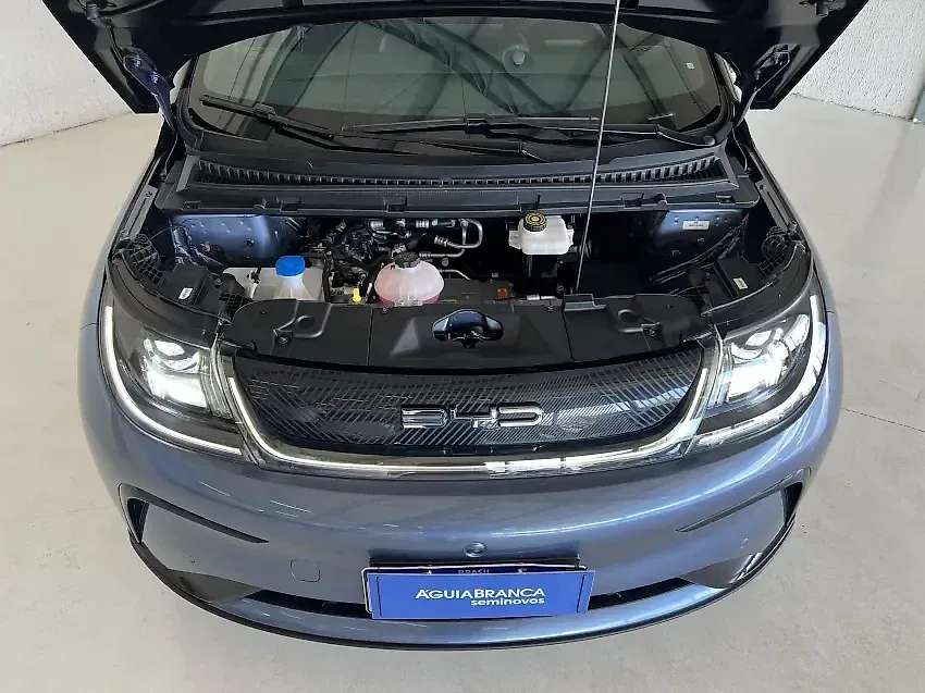 BYD Dolphin Plus - Imagem 6