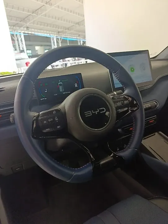 BYD Dolphin Mini - Imagem 9