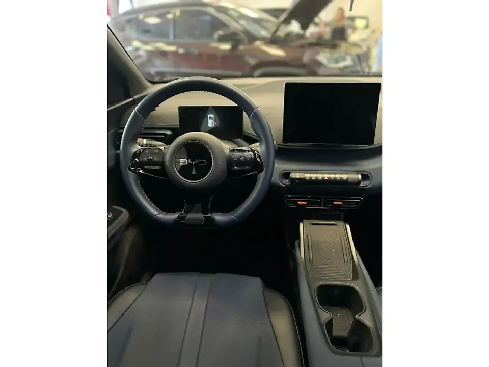 BYD Dolphin Mini - Imagem 8