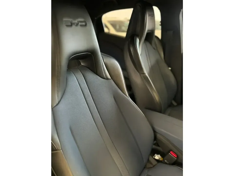 BYD Dolphin Mini - Imagem 12