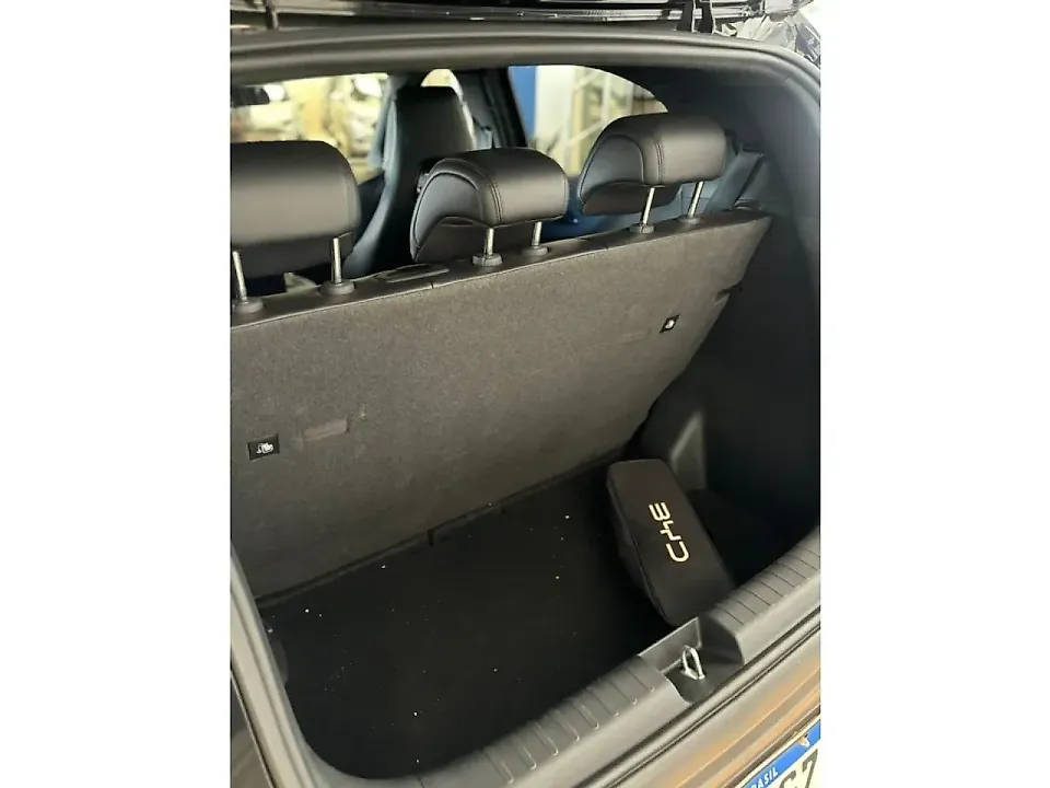 BYD Dolphin Mini - Imagem 14