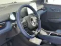 BYD Dolphin Mini - Miniatura 7