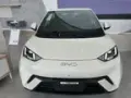 BYD Dolphin Mini - Miniatura 10