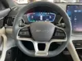BYD Song Plus Dm-i Plug-in Hybrid - Miniatura 8