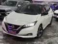 Nissan Leaf - Miniatura 1