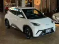 BYD Dolphin Mini - Miniatura 1