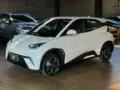 BYD Dolphin Mini - Miniatura 6
