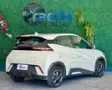BYD Dolphin Mini - Miniatura 3