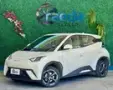 BYD Dolphin Mini - Miniatura 2