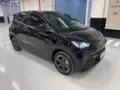 BYD Dolphin Mini - Miniatura 1