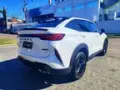 GWM Haval H6 Plug-in Hybrid - Miniatura 7