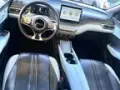 BYD Dolphin Mini - Miniatura 13