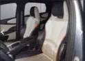 BYD Dolphin - Miniatura 4