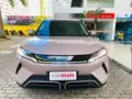 BYD Yuan Pro - Miniatura 1