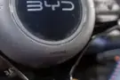 BYD Dolphin Mini - Miniatura 15