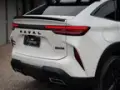 GWM Haval H6 Plug-in Hybrid - Miniatura 6