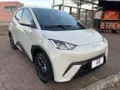 BYD Dolphin Mini - Miniatura 1
