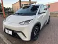 BYD Dolphin Mini - Miniatura 3