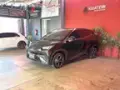 BYD Dolphin Mini - Miniatura 8