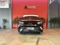 BYD Dolphin Mini - Miniatura 18