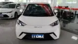 BYD Dolphin - Miniatura 2
