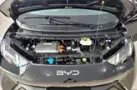 BYD Dolphin Mini - Miniatura 15