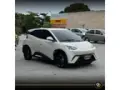 BYD Dolphin Mini - Miniatura 3