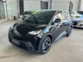 BYD Dolphin Mini - Miniatura 1