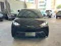BYD Dolphin Mini - Miniatura 2