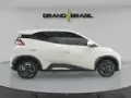 BYD Dolphin Mini - Miniatura 2