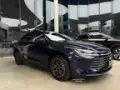 BYD King - Miniatura 1