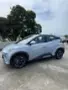BYD Dolphin Mini - Miniatura 6