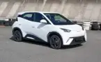 BYD Dolphin Mini - Miniatura 1
