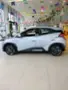 BYD Dolphin Mini - Miniatura 1